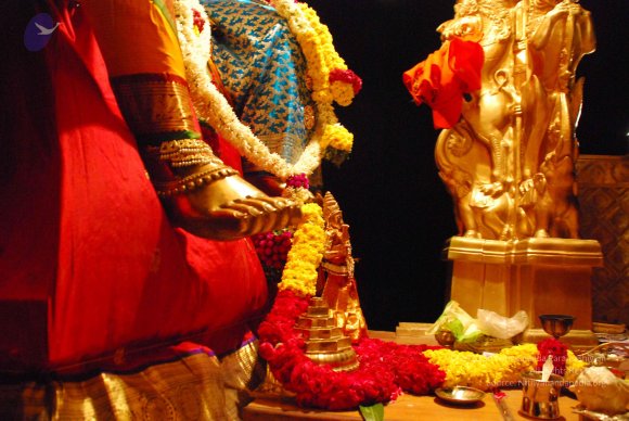 20090113_Photo_1056_DSC_0109_CMP_WM