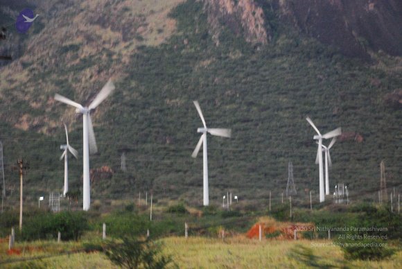 20090113_Photo_1096_DSC_0955_CMP_WM