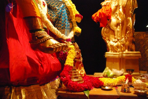 20090113_Photo_1283_DSC_0111_CMP_WM