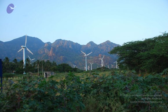 20090113_Photo_1364_DSC_0752_CMP_WM