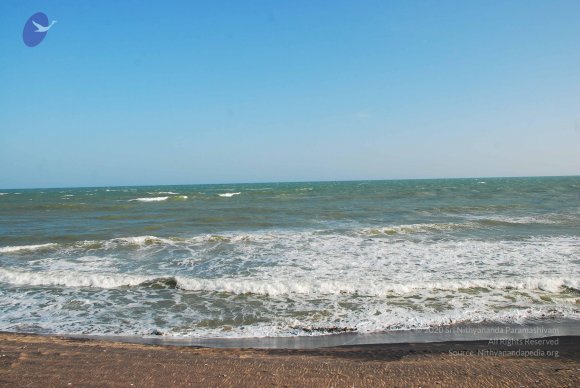 20090113_Photo_1024_DSC_0659_CMP_WM