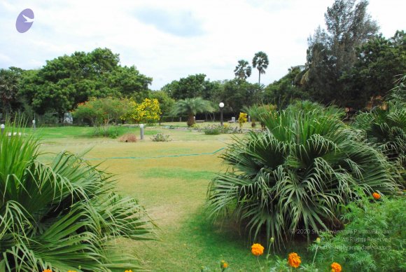 20090113_Photo_1034_DSC_0316_CMP_WM