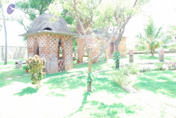 20090113_Photo_1041_DSC_0502_CMP_WM