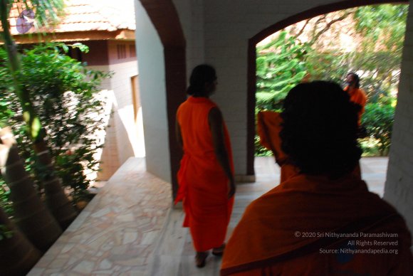 20090113_Photo_1050_DSC_0538_CMP_WM