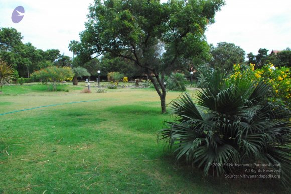 20090113_Photo_1061_DSC_0307_CMP_WM