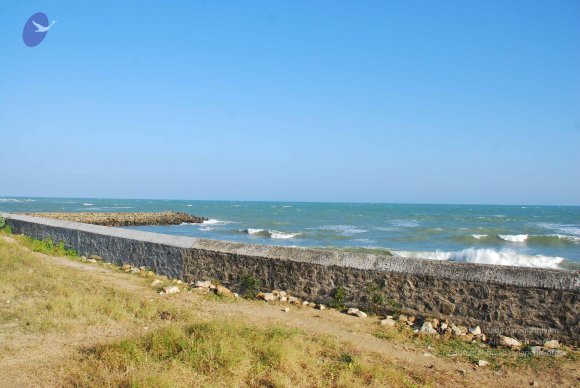 20090113_Photo_1101_DSC_0693_CMP_WM