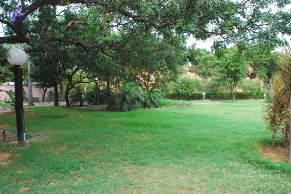 20090113_Photo_1105_DSC_0308_CMP_WM