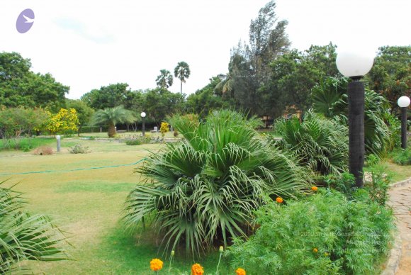 20090113_Photo_1111_DSC_0314_CMP_WM