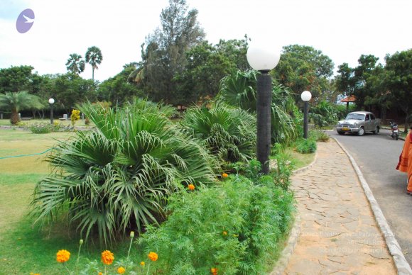 20090113_Photo_1131_DSC_0319_CMP_WM