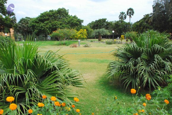 20090113_Photo_1137_DSC_0317_CMP_WM