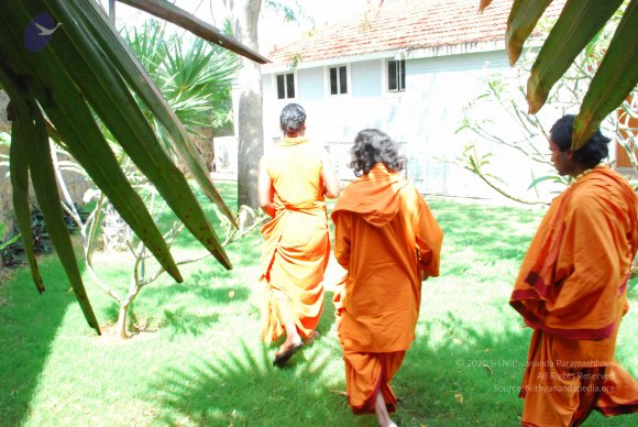 20090113_Photo_1143_DSC_0534_CMP_WM