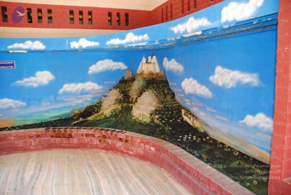 20090113_Photo_1145_DSC_0469_CMP_WM