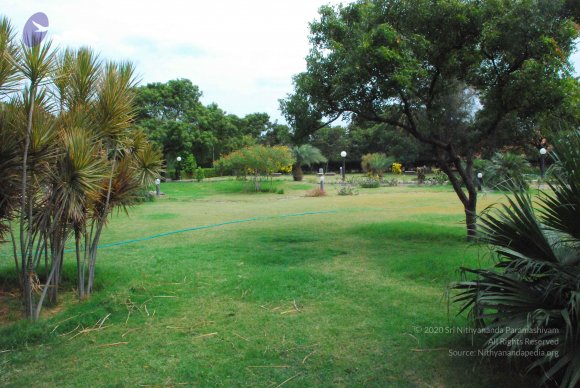 20090113_Photo_1161_DSC_0306_CMP_WM