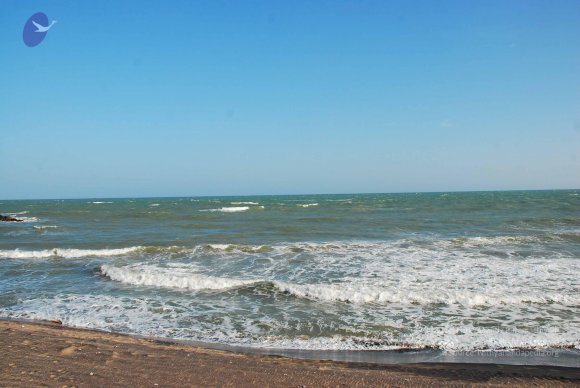 20090113_Photo_1188_DSC_0658_CMP_WM