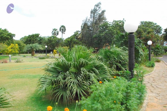 20090113_Photo_1198_DSC_0315_CMP_WM