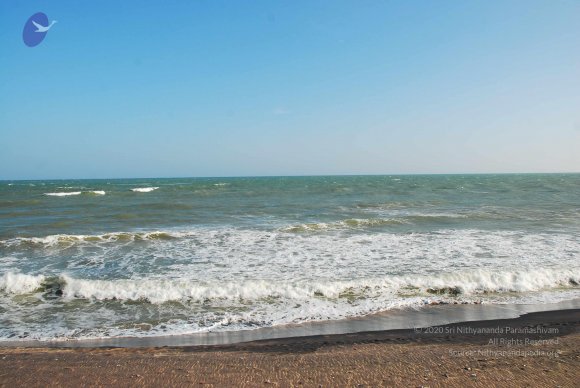 20090113_Photo_1235_DSC_0660_CMP_WM