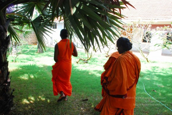 20090113_Photo_1257_DSC_0533_CMP_WM