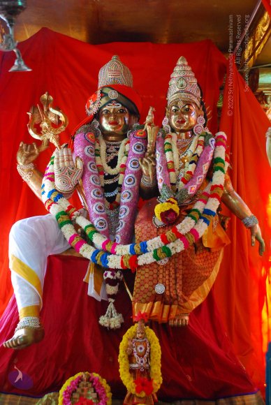 20090116_Photo_1005_DSC_1251_CMP_WM