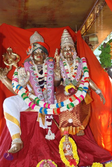 20090116_Photo_1012_DSC_1280_CMP_WM