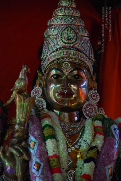 20090116_Photo_1016_DSC_1272_CMP_WM