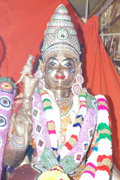 20090116_Photo_1020_DSC_1275_CMP_WM