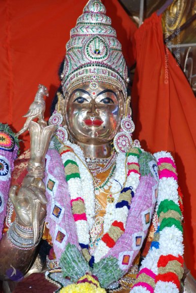 20090116_Photo_1024_DSC_1278_CMP_WM