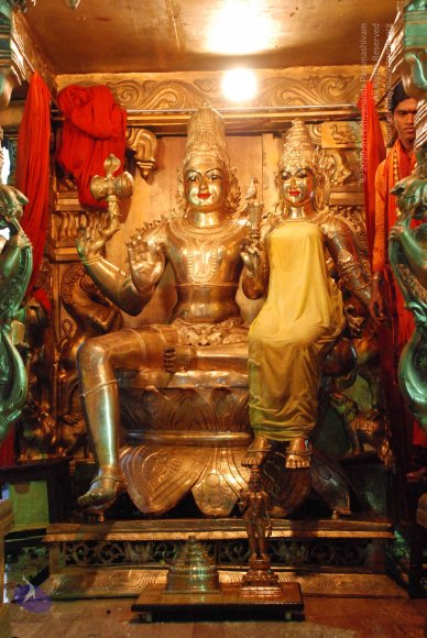 20090116_Photo_1025_DSC_0829_CMP_WM