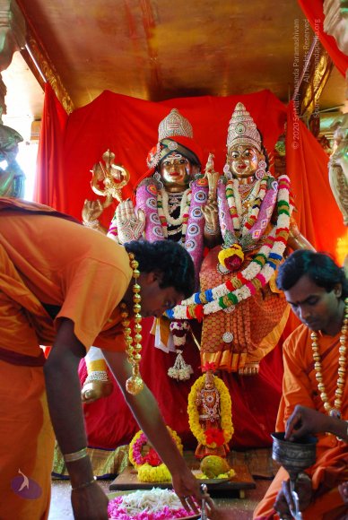 20090116_Photo_1034_DSC_1234_CMP_WM