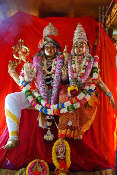 20090116_Photo_1043_DSC_1249_CMP_WM