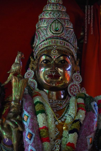 20090116_Photo_1046_DSC_1273_CMP_WM