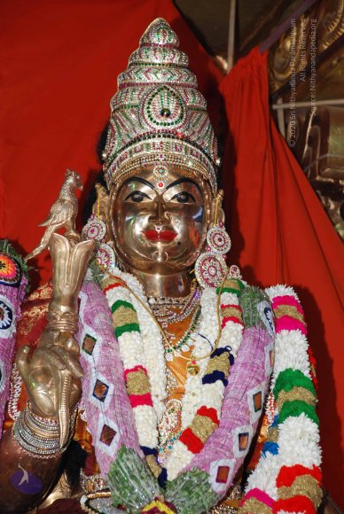 20090116_Photo_1050_DSC_1276_CMP_WM