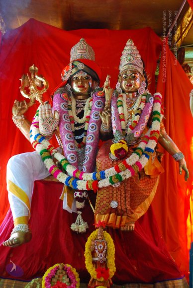 20090116_Photo_1054_DSC_1250_CMP_WM