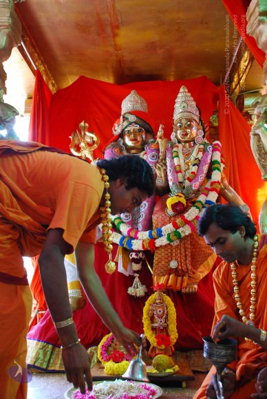 20090116_Photo_1059_DSC_1235_CMP_WM