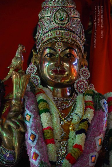 20090116_Photo_1064_DSC_1271_CMP_WM