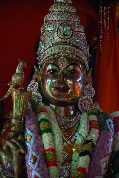 20090116_Photo_1067_DSC_1274_CMP_WM