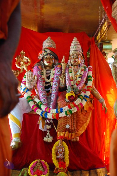 20090116_Photo_1070_DSC_1268_CMP_WM