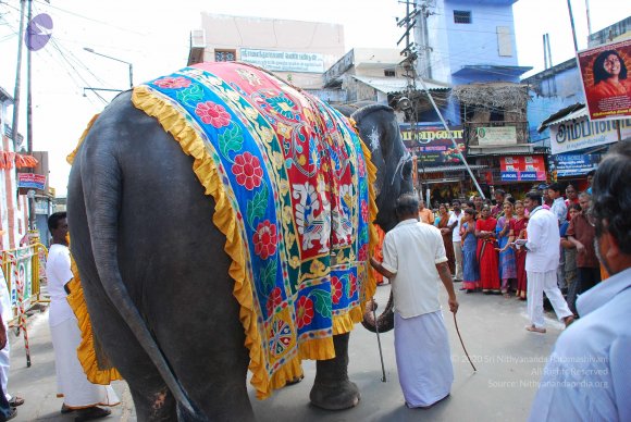 20090116_Photo_1184_DSC_1591_CMP_WM