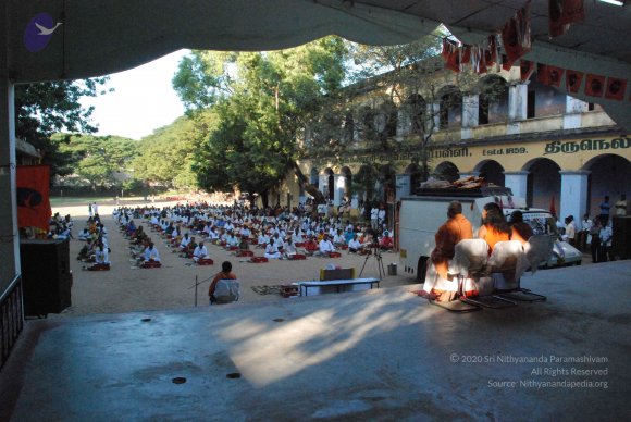 20090116_Photo_1440_DSC_2328_CMP_WM