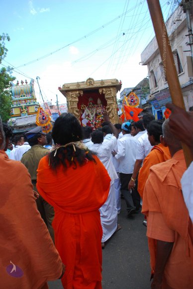 20090116_Photo_1502_DSC_2134_CMP_WM