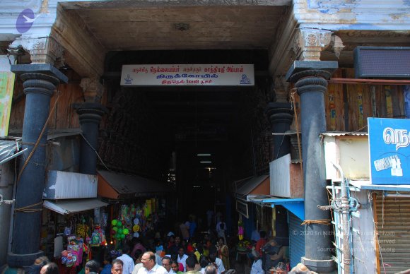 20090116_Photo_1614_DSC_1802_CMP_WM