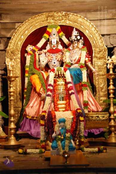 20090705_Photo_1001_DSC_0040_CMP_WM