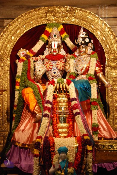 20090705_Photo_1002_DSC_0041_CMP_WM