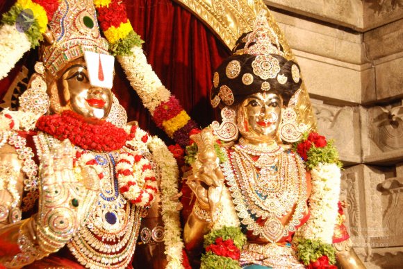 20090705_Photo_1006_DSC_0048_CMP_WM