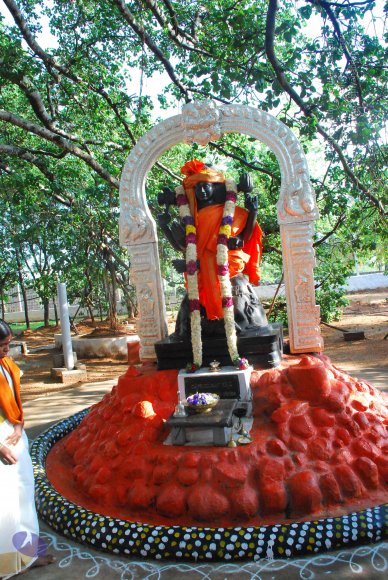 20090601_Photo_1005_DSC_0189_CMP_WM