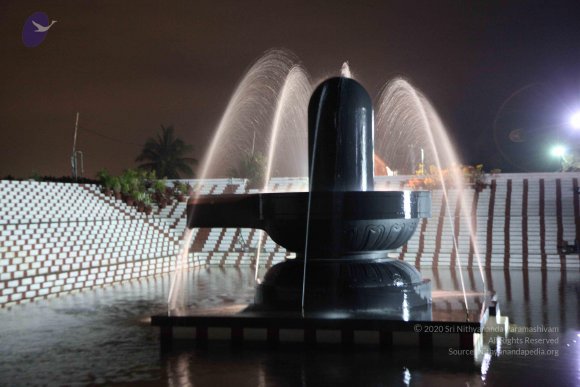 20091121_Photo_1021_IMG_7487_CMP_WM