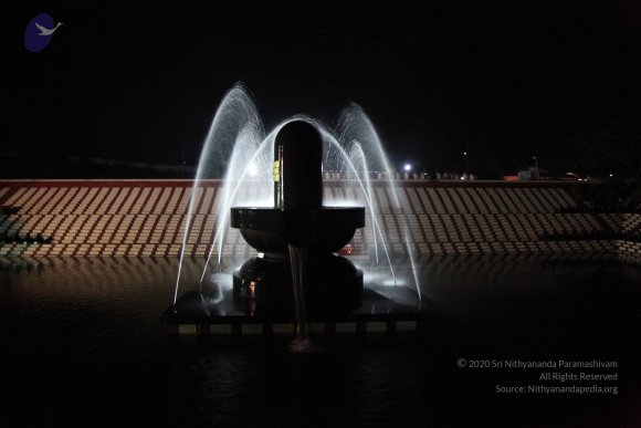 20091121_Photo_1025_IMG_7491_CMP_WM