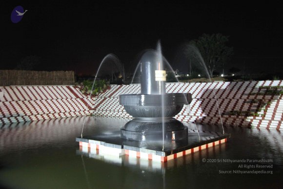 20091121_Photo_1031_IMG_7501_CMP_WM