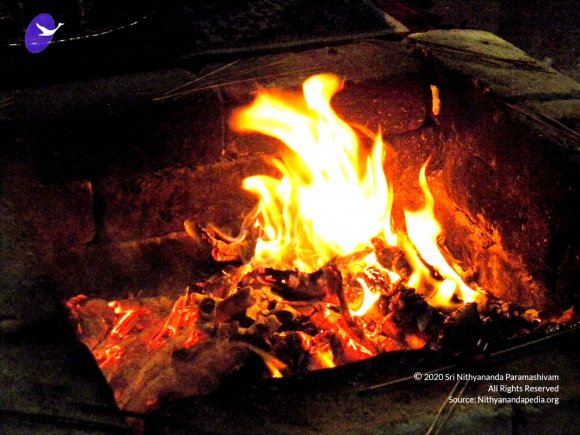 20091017_Photo_1075_DSCN1267_CMP_WM