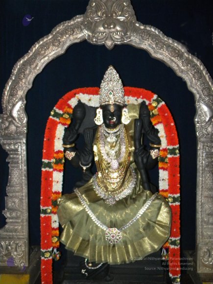 20090919_Photo_1001_DSCN0377_CMP_WM