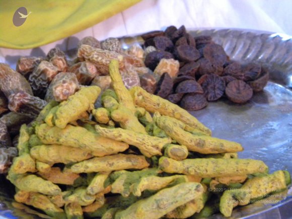 20090919_Photo_1042_DSCN0267_CMP_WM